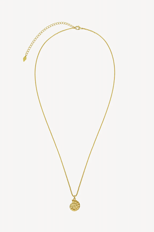 MNC5JEW04563BRW_Oro_1.png