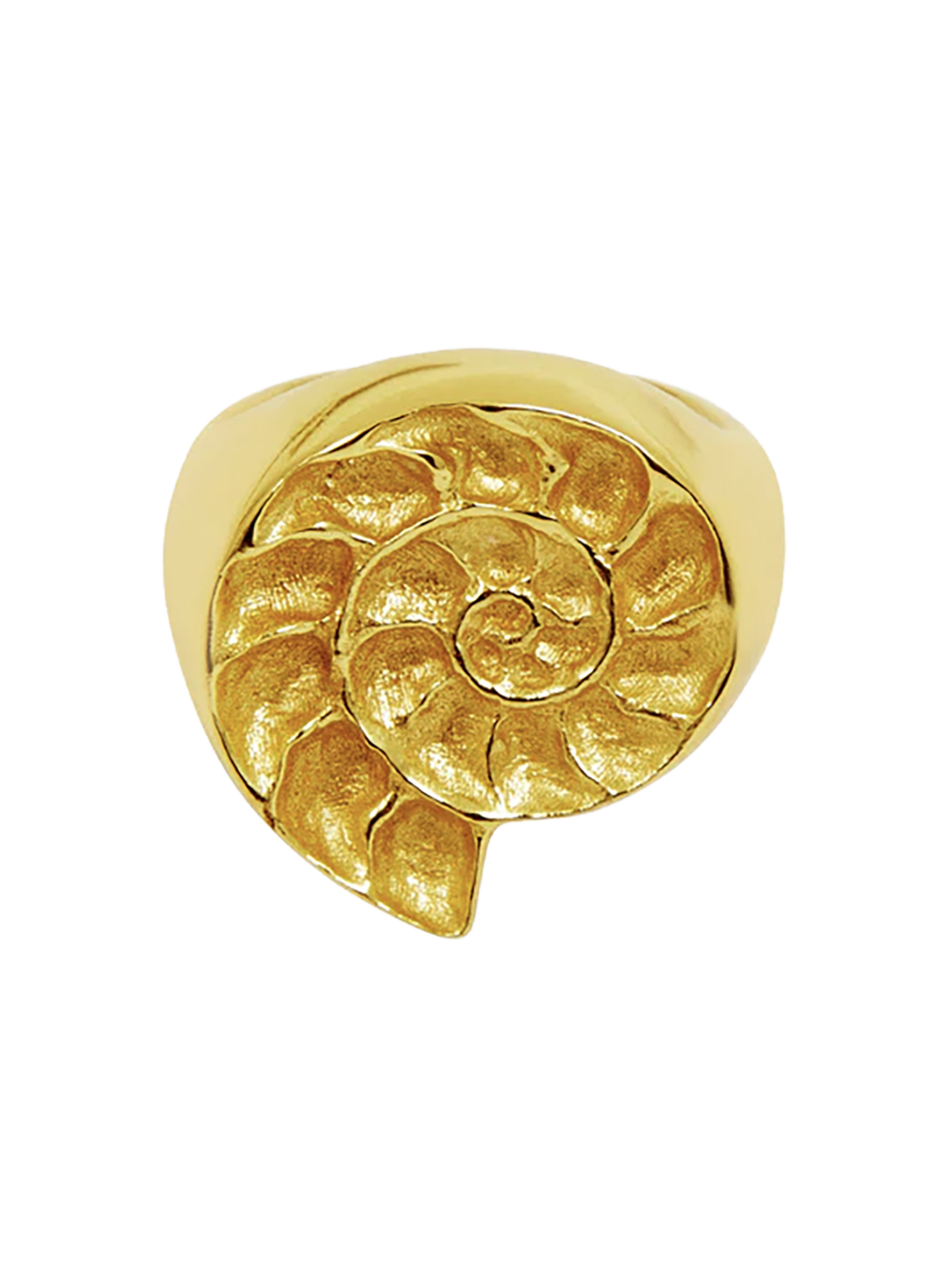 MNC5JEW04565BRW_Oro_0.png