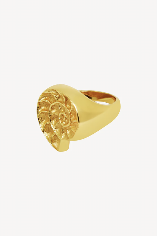 MNC5JEW04565BRW_Oro_1.png