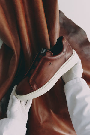 Sneakers Collection