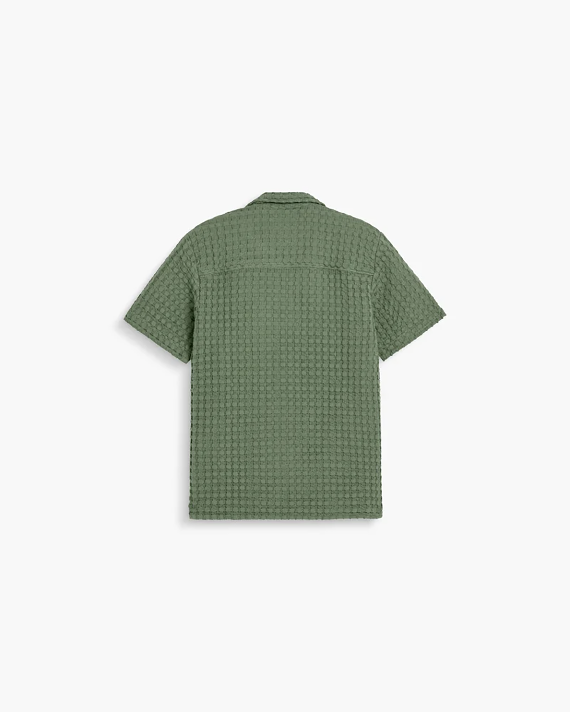 OAS1TOP00000CTM_Green_1.png
