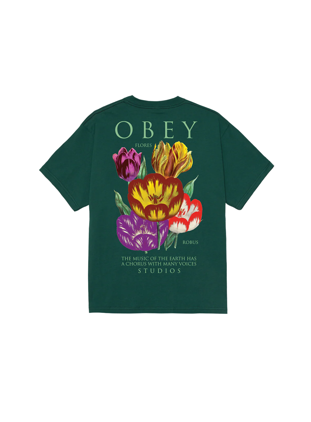 OBE1TOP18547CTM_Rainforest_0.png