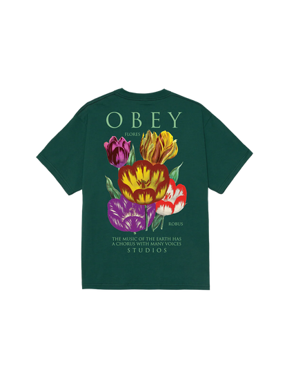 OBE1TOP18547CTM_Rainforest_0.png