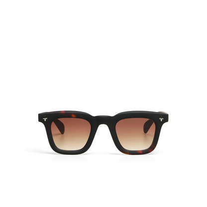 OKK4ACC20636AEU_Black+Havana+Brown+Lens_3.png