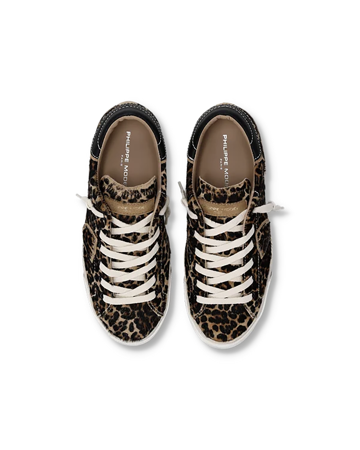 PHLCCAL00000LEW_Animal+Print+y+Negro_2.png