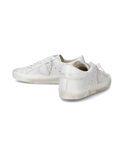 PHLCCAL00000LEW_Blanco_4.png