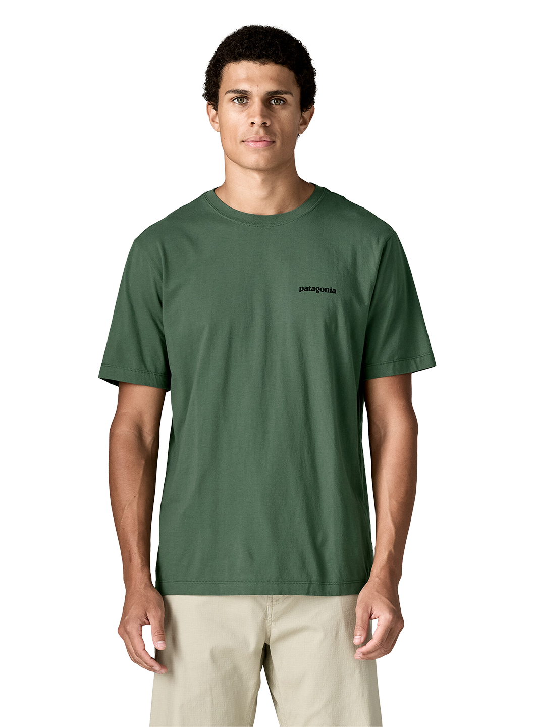 PTG1TOP00002OCM_Canopy+Green_0.png