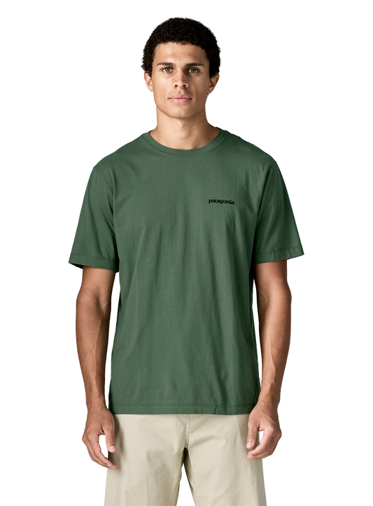 PTG1TOP00002OCM_Canopy+Green_0.png