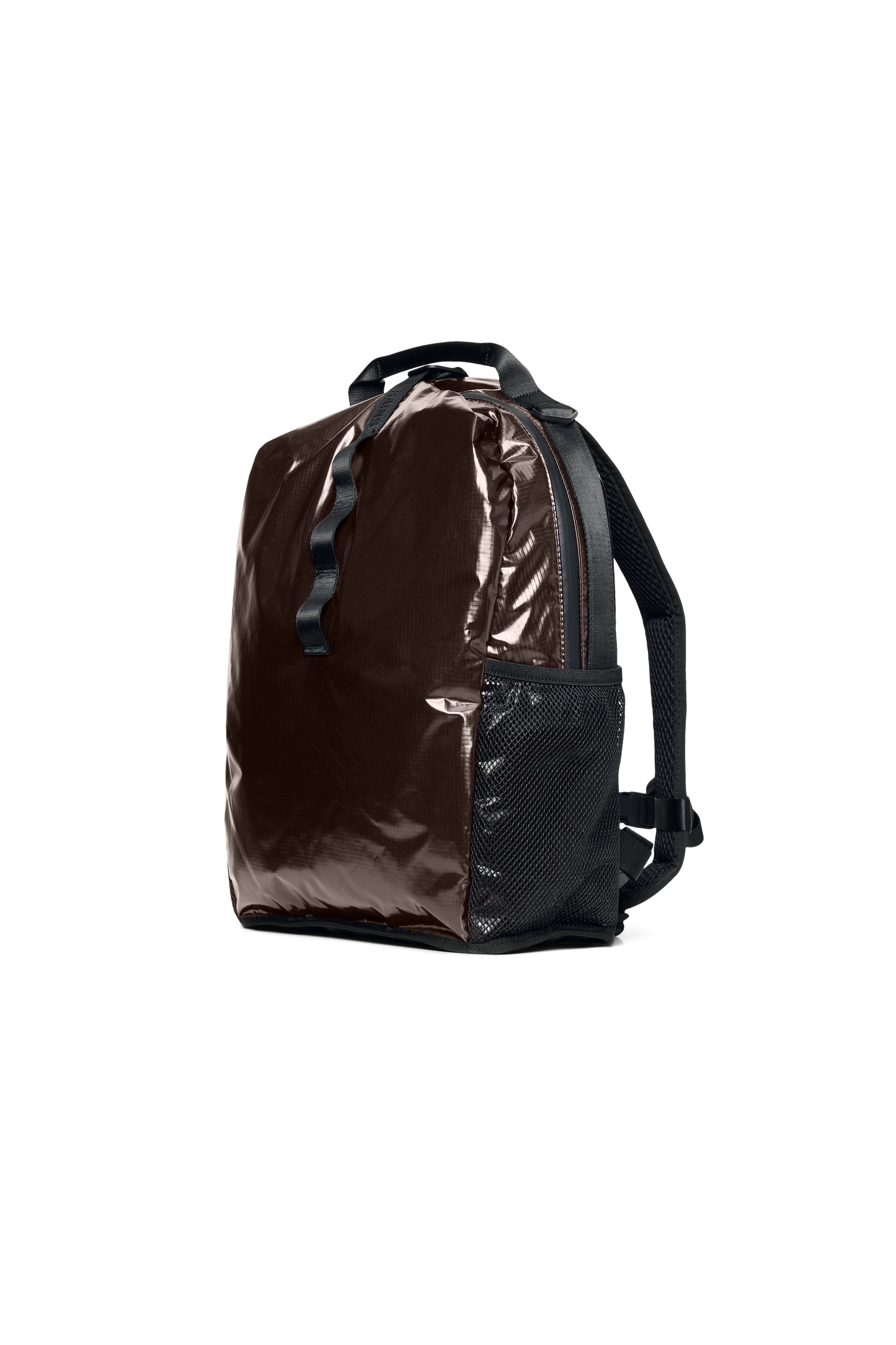 RAI3BAG17347POM_Bark_1.png