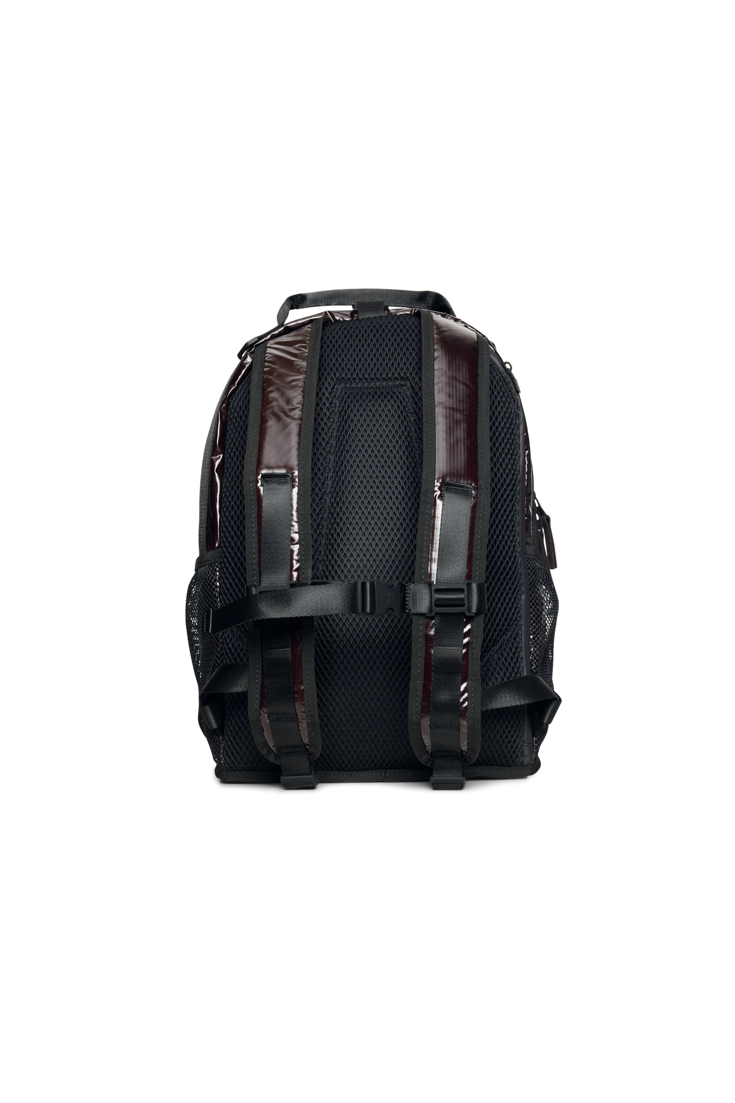 RAI3BAG17347POM_Bark_2.png