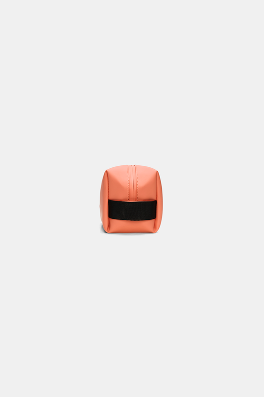 RAI3HBA01015PYW_Ember_1.png