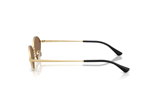 RBN4ACC01746MTU_Gold%2CDark+Brown_1.png