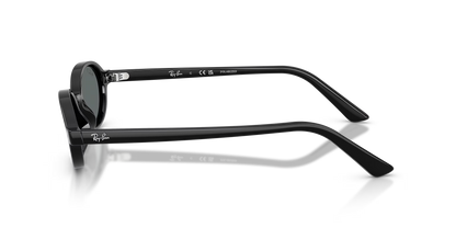 RBN4ACC01752OMU_Black%2CDark+Grey+Polar_1.png