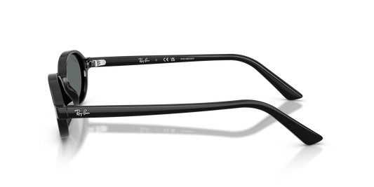 RBN4ACC01752OMU_Black%2CDark+Grey+Polar_1.png