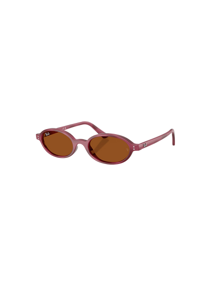 RBN4ACC01752OMU_Violet+Havana%2BDark+Brown_0.png
