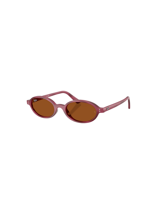 RBN4ACC01752OMU_Violet+Havana%2BDark+Brown_0.png