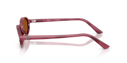 RBN4ACC01752OMU_Violet+Havana%2BDark+Brown_1.png
