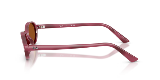 RBN4ACC01752OMU_Violet+Havana%2BDark+Brown_1.png