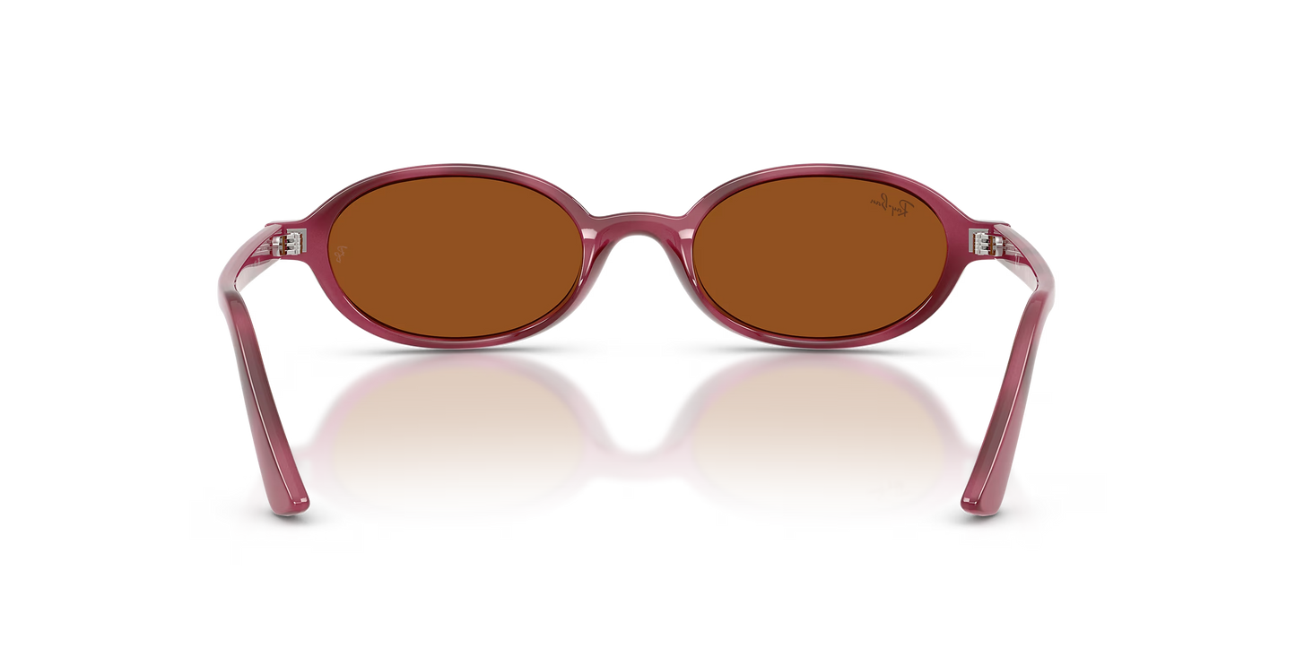 RBN4ACC01752OMU_Violet+Havana%2BDark+Brown_2.png