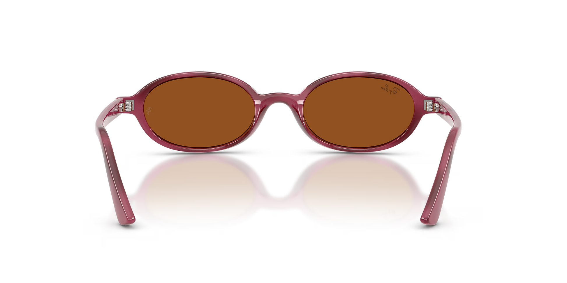 RBN4ACC01752OMU_Violet+Havana%2BDark+Brown_2.png