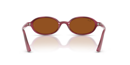 RBN4ACC01752OMU_Violet+Havana%2BDark+Brown_2.png