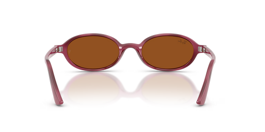 RBN4ACC01752OMU_Violet+Havana%2BDark+Brown_2.png