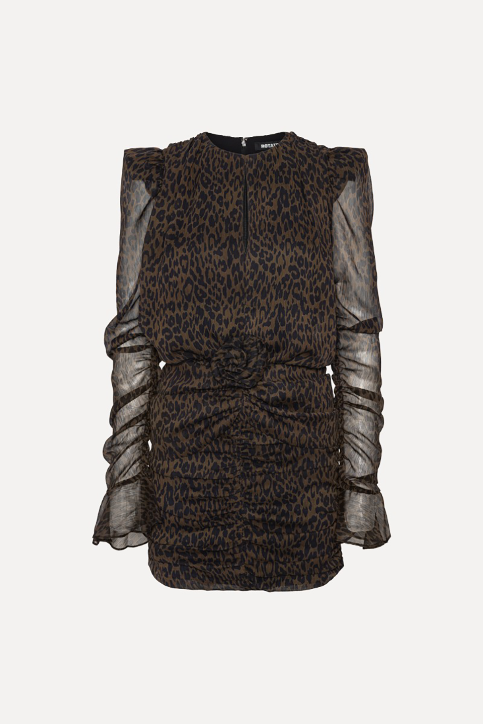 ROT1DRE20210PYW_Mol%C3%A9_1.png