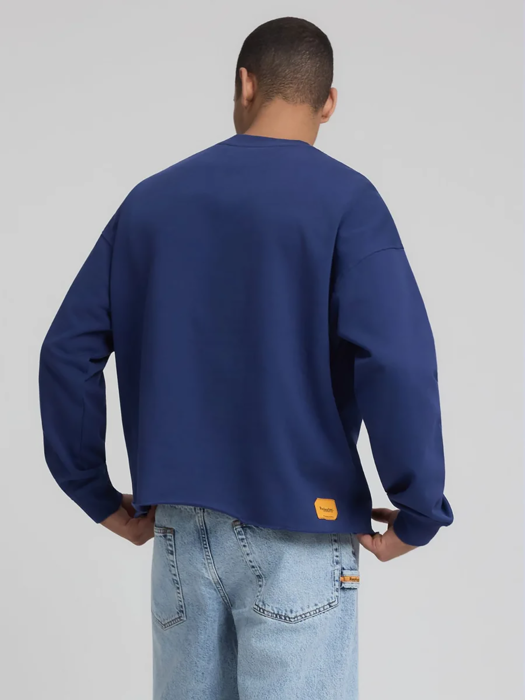 RPL1SWE00001CTM_WORKER+BLUE_1.png