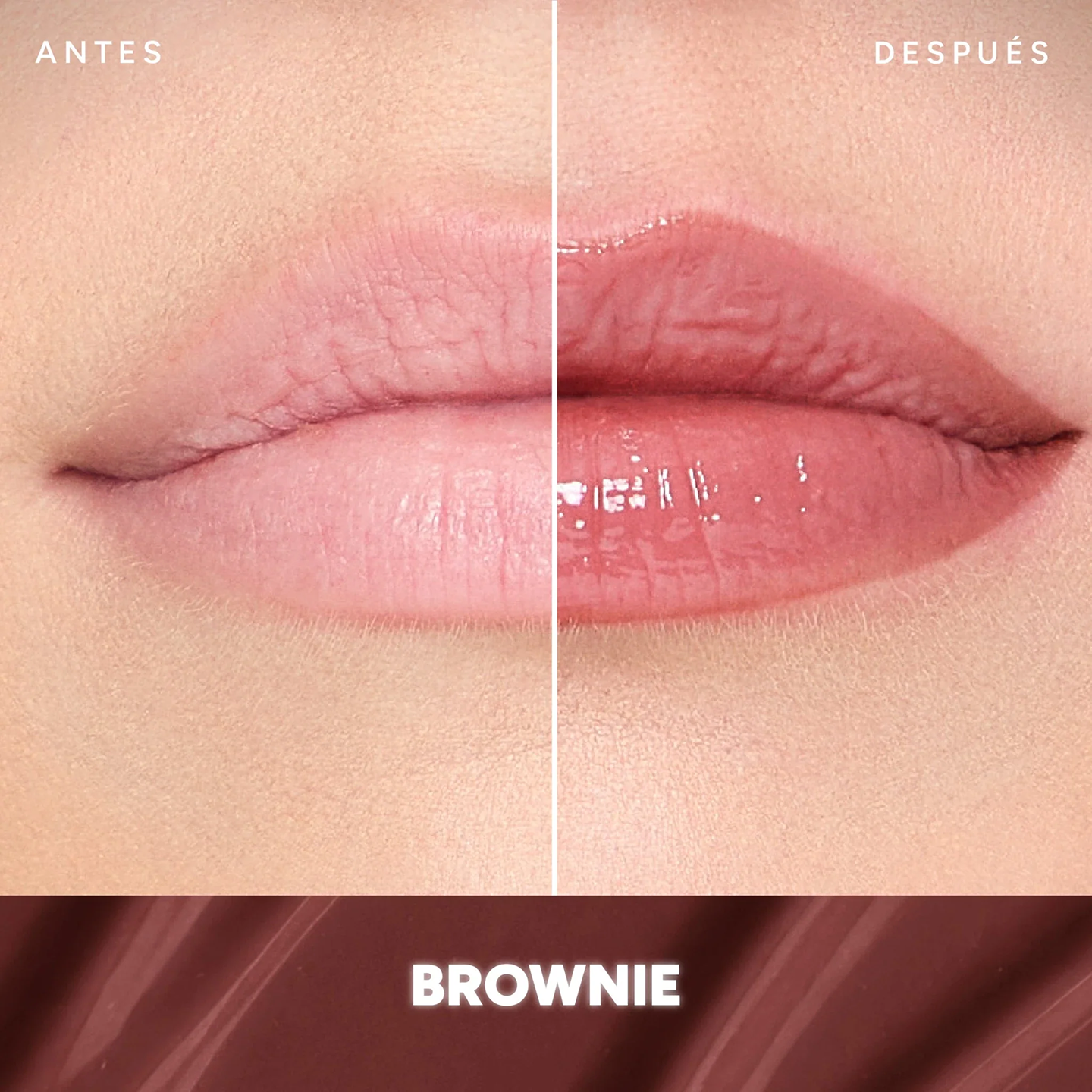 SAI6MKU00000PLU_Brownie_1.png