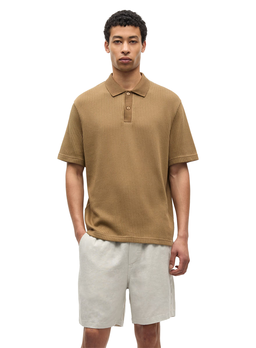 SAS1TOP00060CTM_KANGAROO_0.png