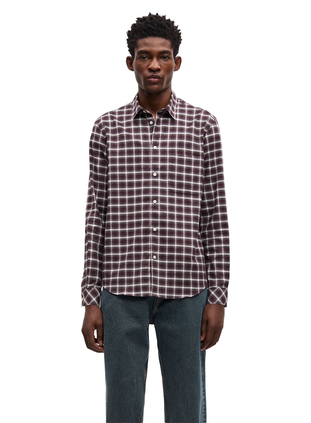 SAS1TOP00091CTM_RAISIN+CH._0.png