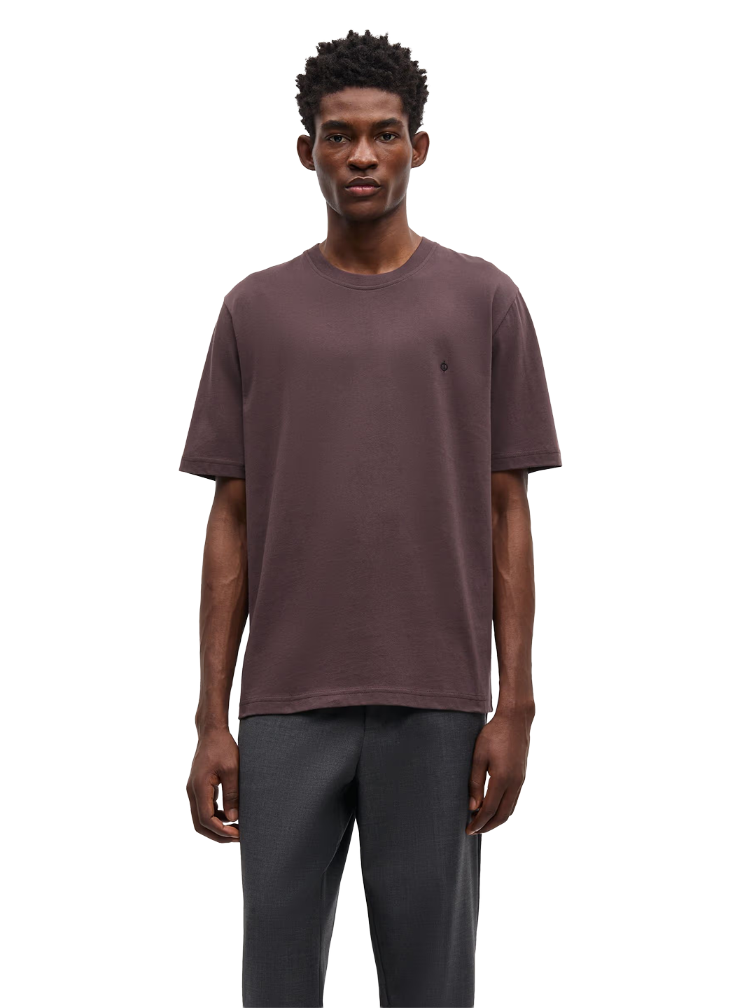 SAS1TOP00094CTM_RAISIN_0.png
