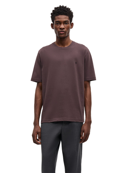 SAS1TOP00094CTM_RAISIN_0.png