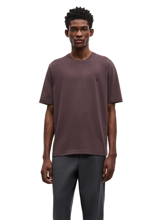 SAS1TOP00094CTM_RAISIN_0.png