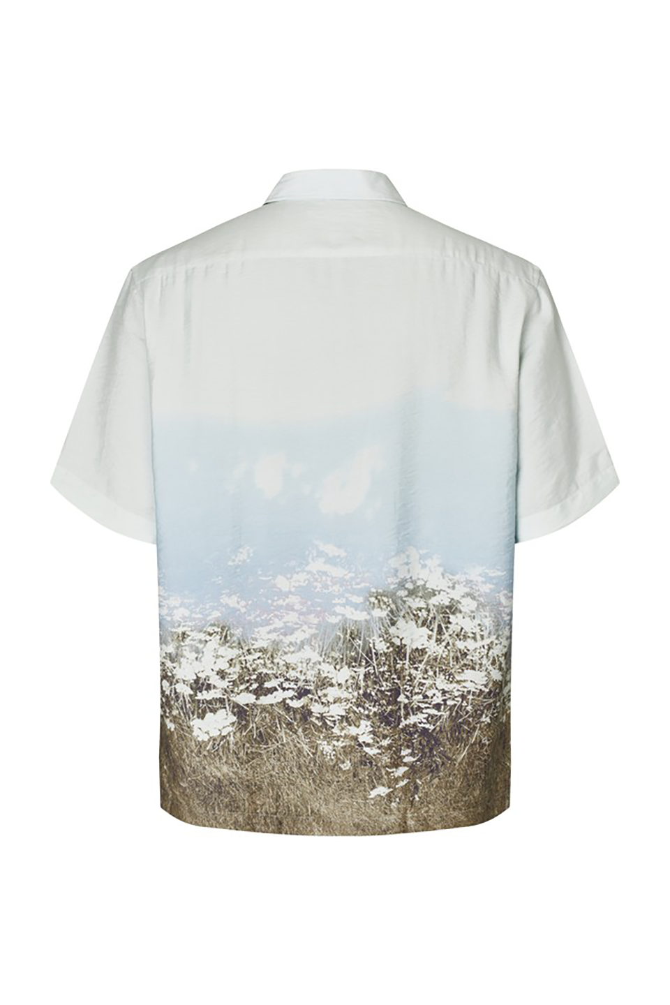 SAS1TOP09110WVM_HAZY+FIELDS_1.png
