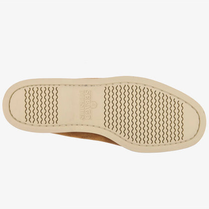 SEBCCAL00261SDM_Curry_4.webp