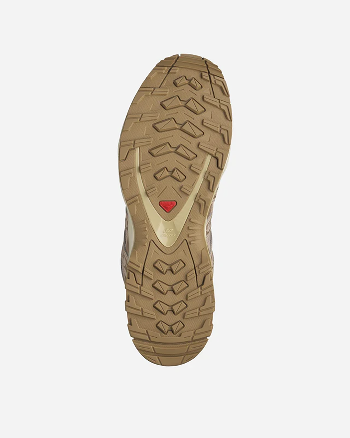 SLM2SNE00004TXU_AMPHIB+Sfari%2BKelp_4.png