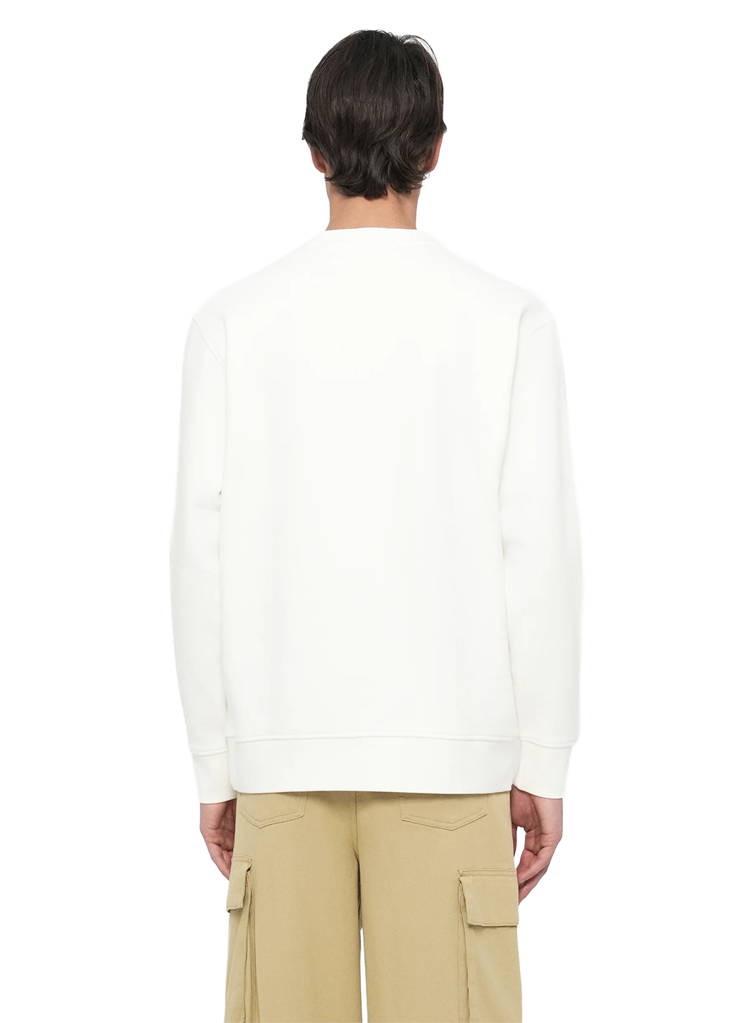SLT1SPO00000OCM_Egret_1.png