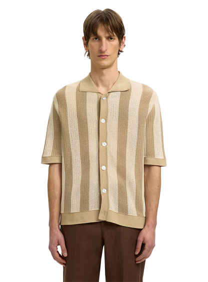 SLT1TOP00638OCM_Birch_0.png