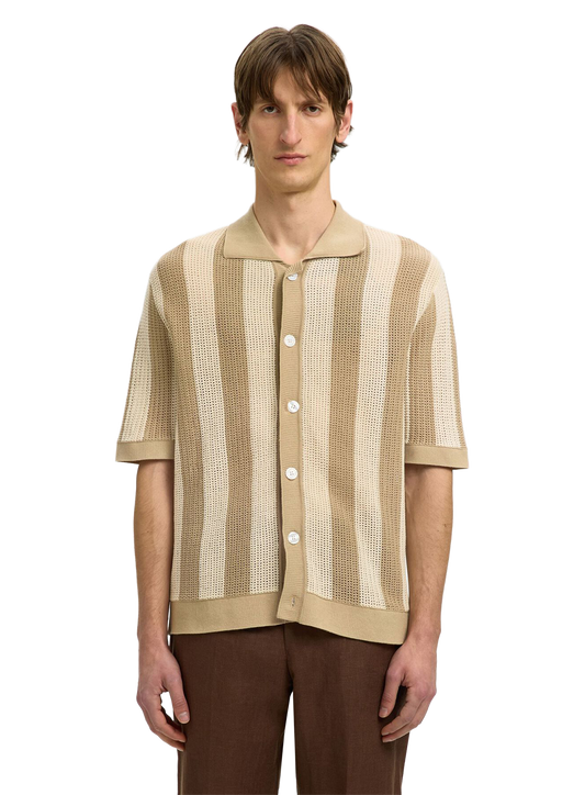 SLT1TOP00638OCM_Birch_0.png
