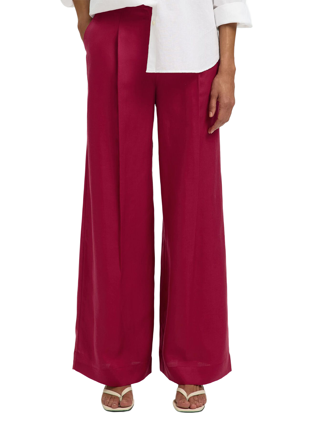 SLT1TRO00002LYW_Anemone_0.png