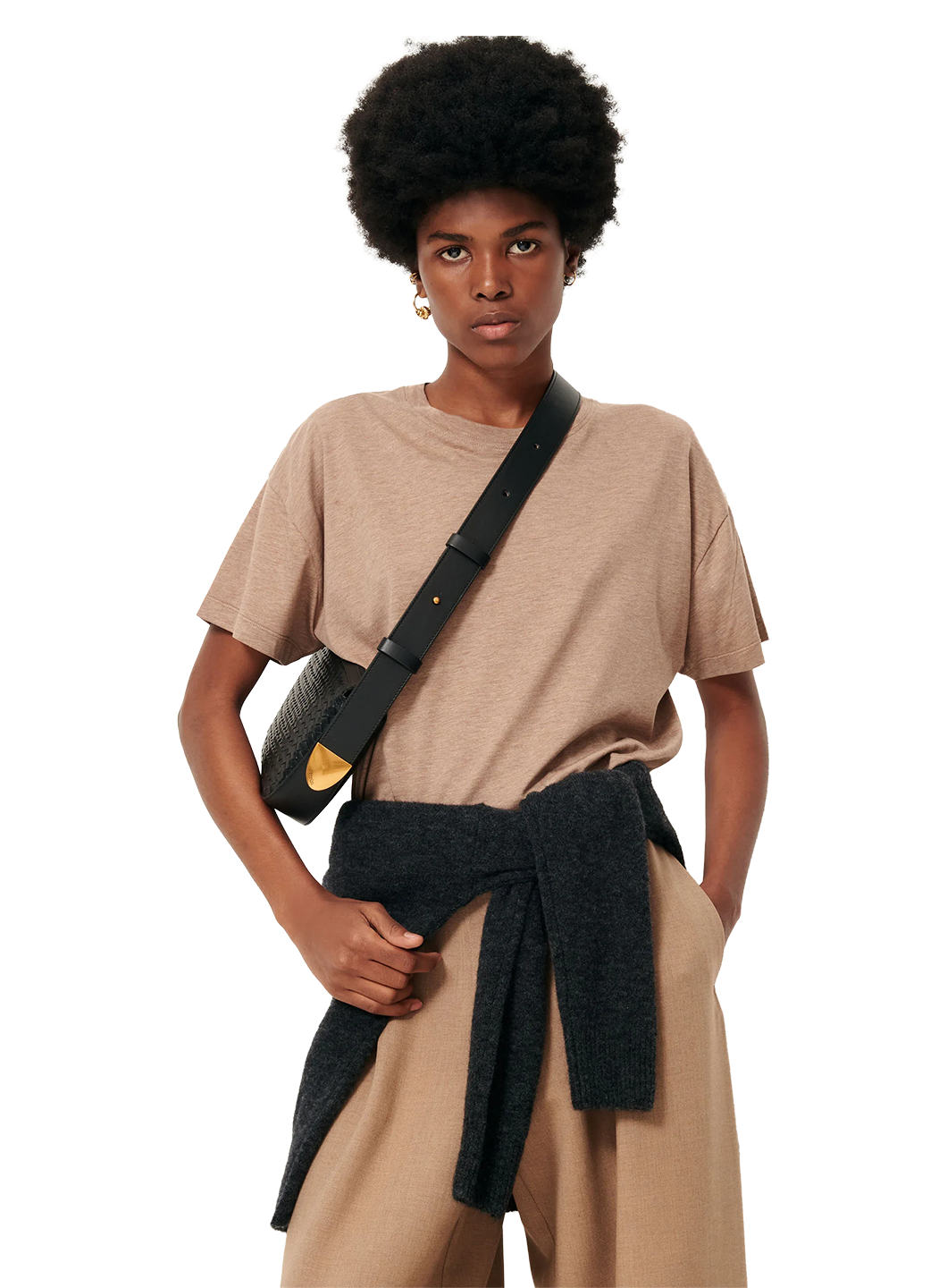 SSE1KNI00001LYW_Alpaga_0.png