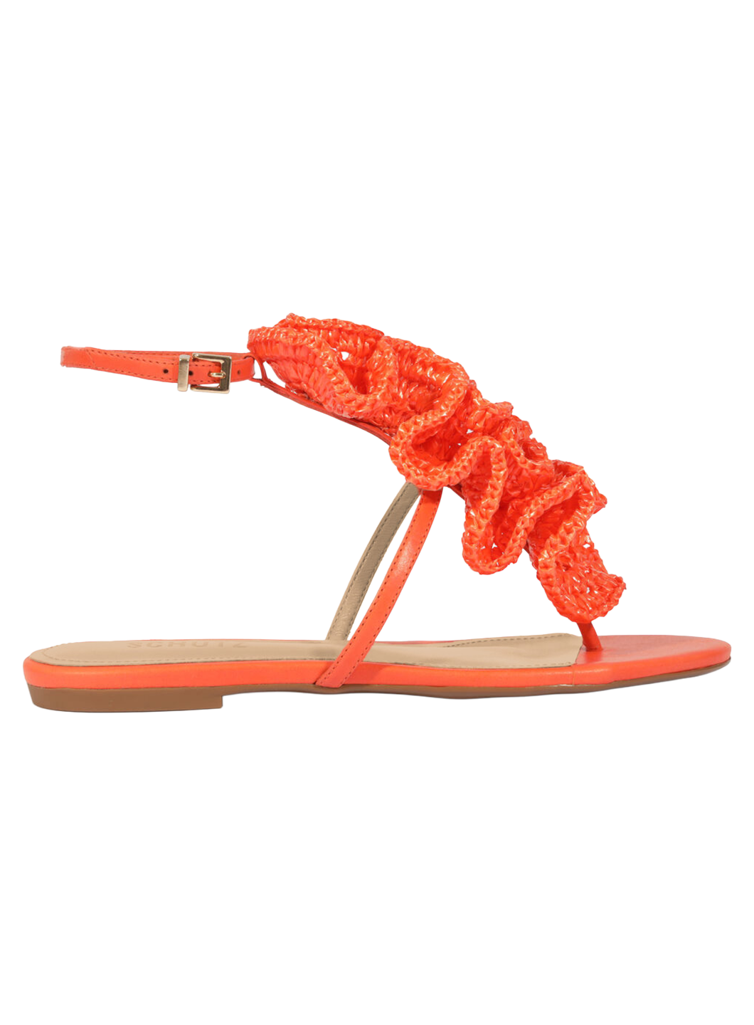 STZCCAL00003LEW_Orange_0.png