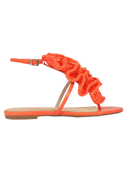 STZCCAL00003LEW_Orange_0.png