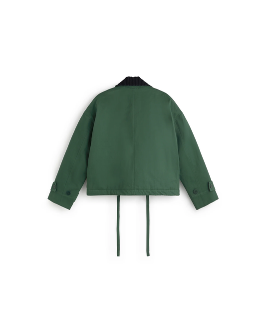 TKM1CJK00007OCW_Verde_2.png