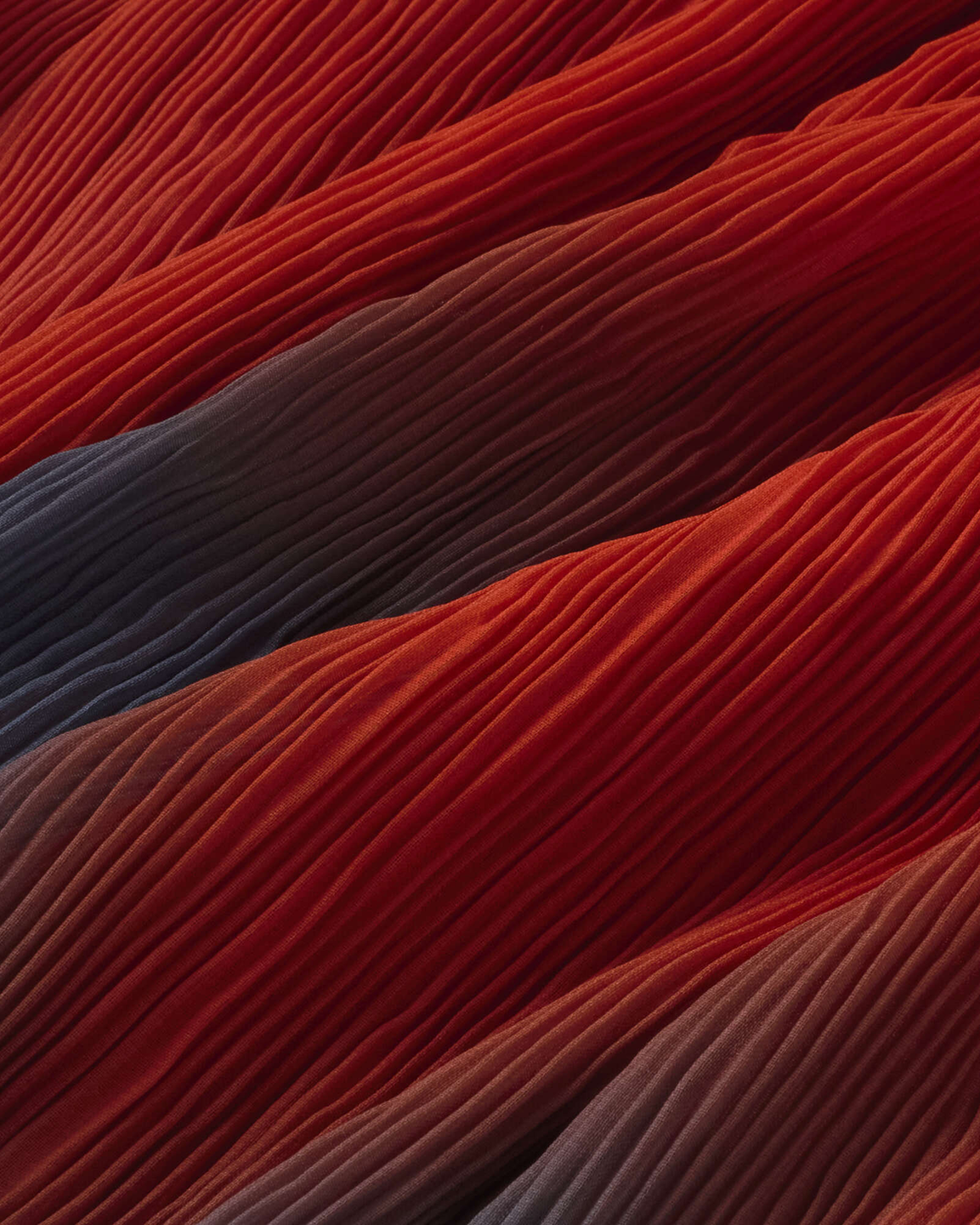 TKM1SKI12561PYW_Rojo_3.png
