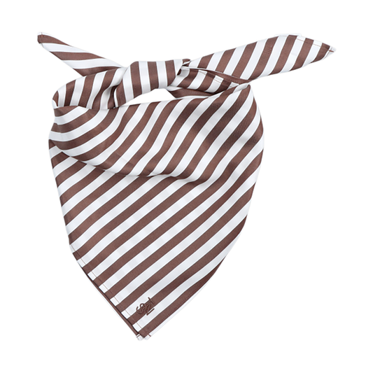 TNS4ACC00000LYW_ROAST+STRIPES_0.png