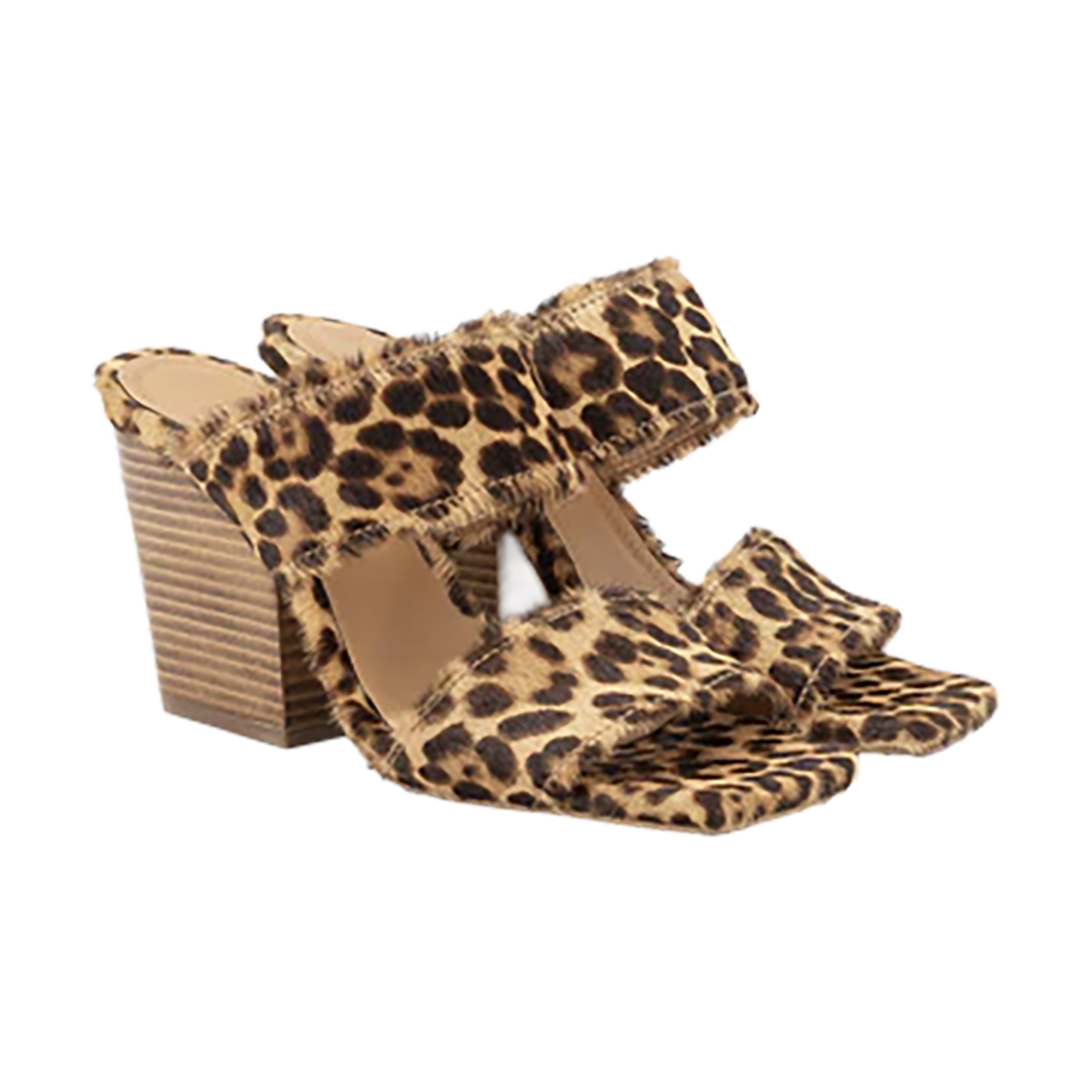 TOR2SAN00007LEW_Leopardo_0.png