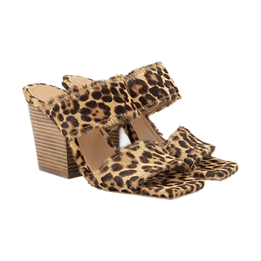 TOR2SAN00007LEW_Leopardo_0.png