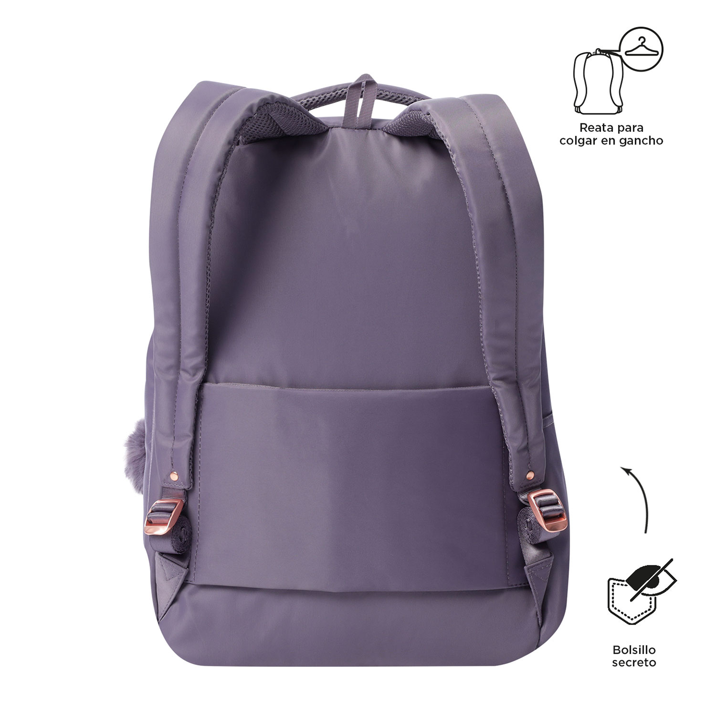 TTO3TRA00001PYW_Morado_1.png